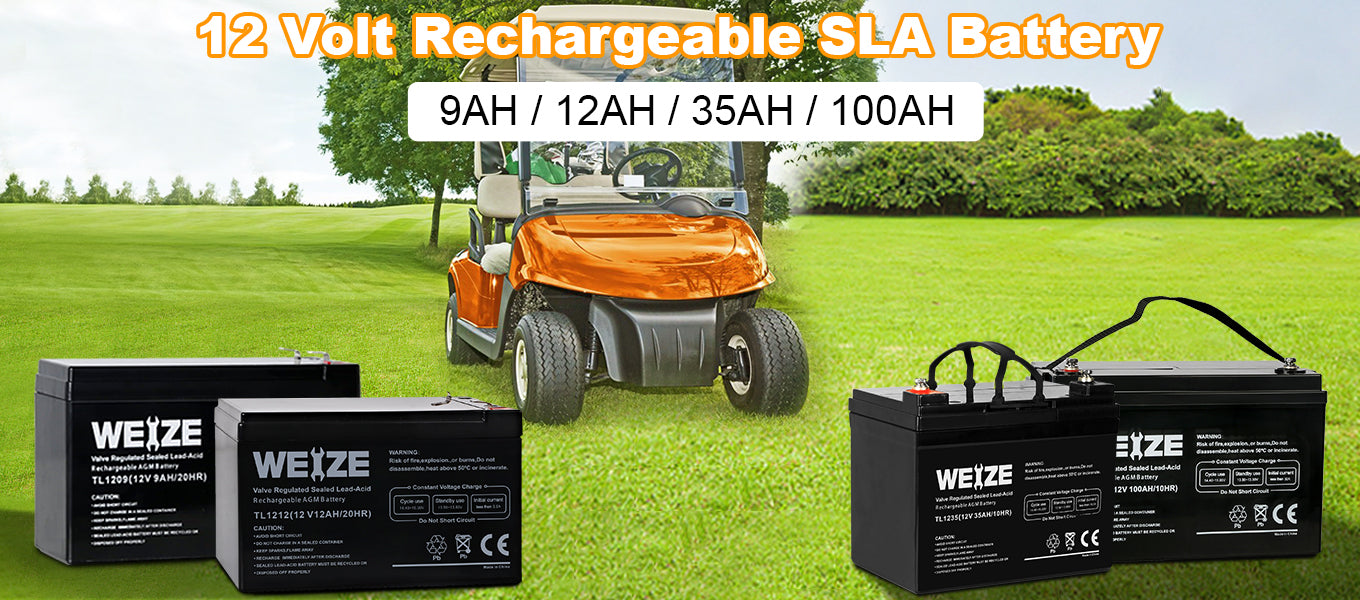 WEIZE AGM Battery