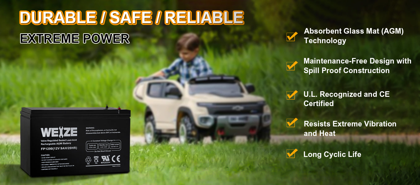 WEIZE AGM Battery